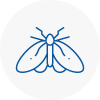 Moth Control Specialists In Perth